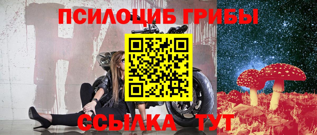 Псилоцибиновые грибы мухоморы  Вход с VPN  Кашира  Галлюциногенные грибы Psilocybe 