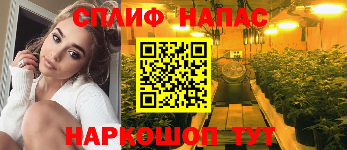 Каннабис VHQ  Вход с VPN  Бошки марихуана THC 21%  Кашира  Шишки марихуана Bruce Banner 